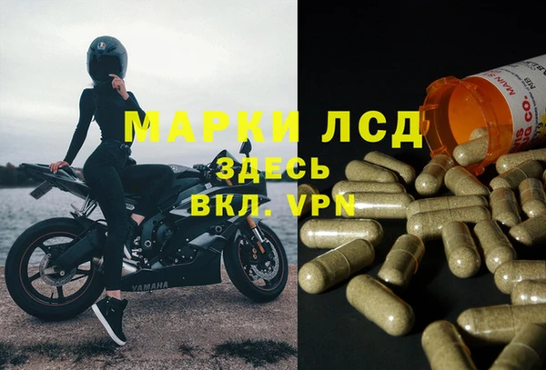 хмурый Абинск