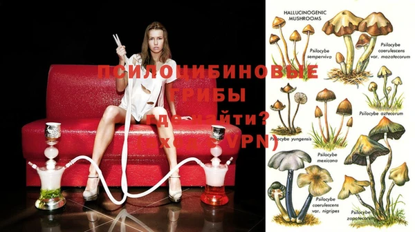 амф Алзамай