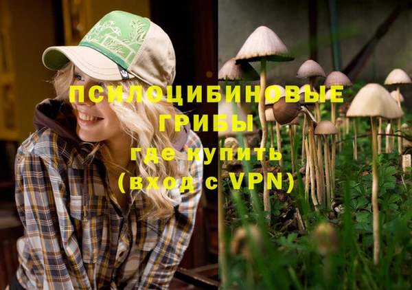a pvp Абаза
